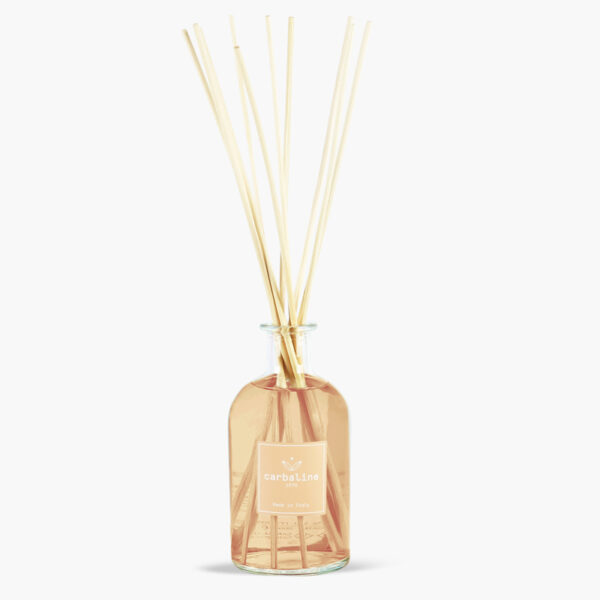 carbaline profumo ambiente old 250ml